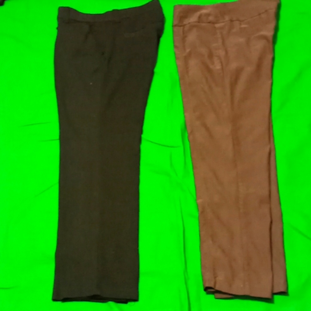 LEE Petite & New Directions Petite